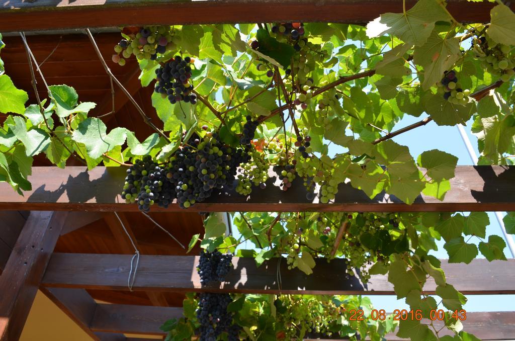Kavala Villa 360 Degrees Green Amisiana Екстер'єр фото